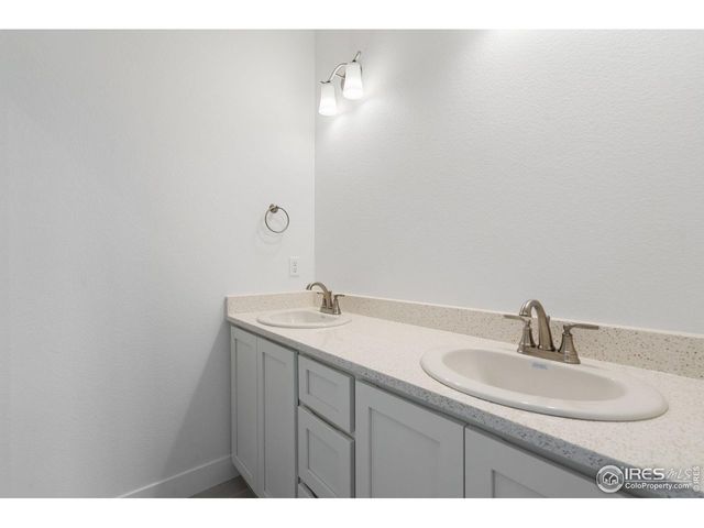 838 Loess Ln, Windsor, CO 80550