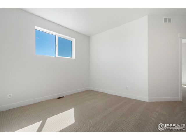 838 Loess Ln, Windsor, CO 80550