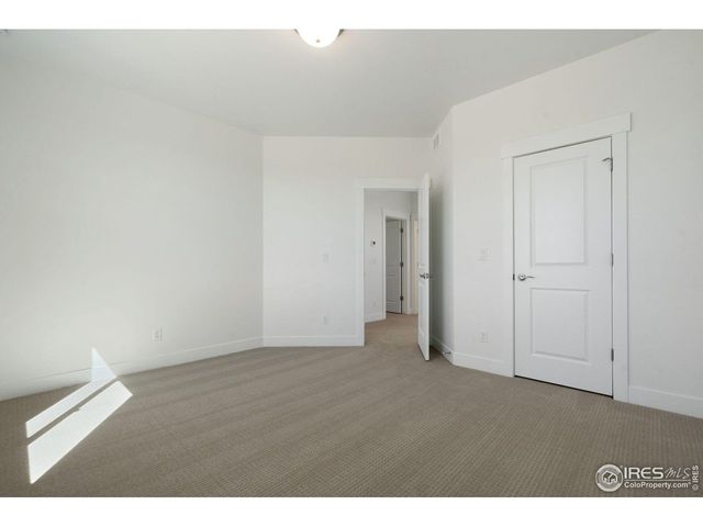 838 Loess Ln, Windsor, CO 80550