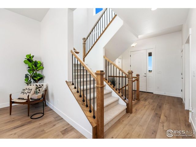 838 Loess Ln, Windsor, CO 80550