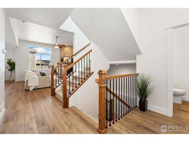 838 Loess Ln, Windsor, CO 80550