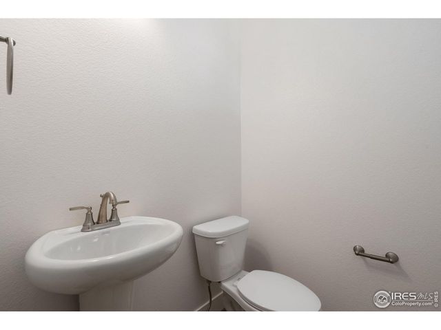 838 Loess Ln, Windsor, CO 80550