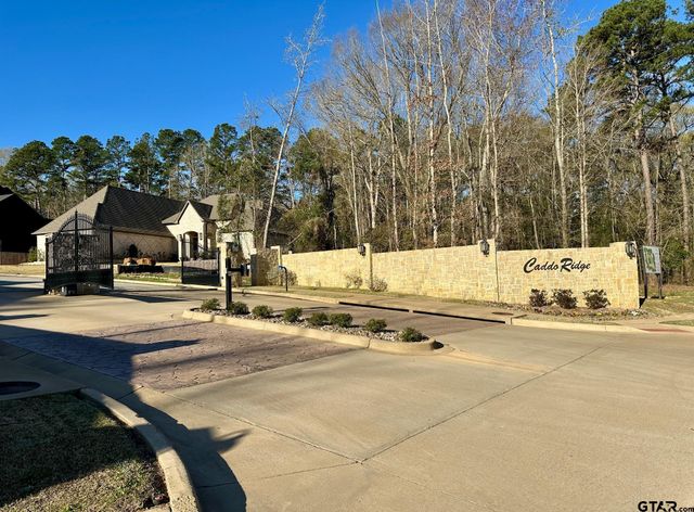 9291 Caddo Ridge Cove, Tyler, TX 75701