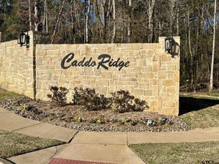 9291 Caddo Ridge Cove, Tyler, TX 75701