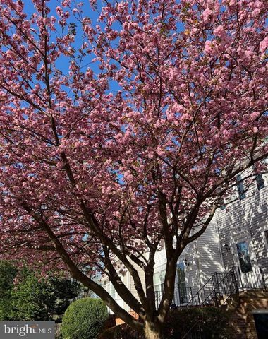 6064 OLD LANDING WAY, Burke, VA 22015