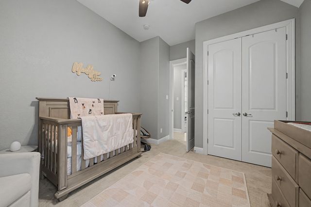 1011 Yellowcress Drive, Prosper, TX 75078