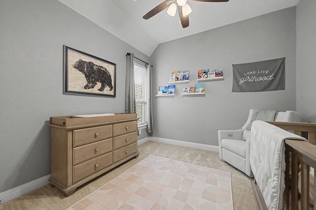 1011 Yellowcress Drive, Prosper, TX 75078