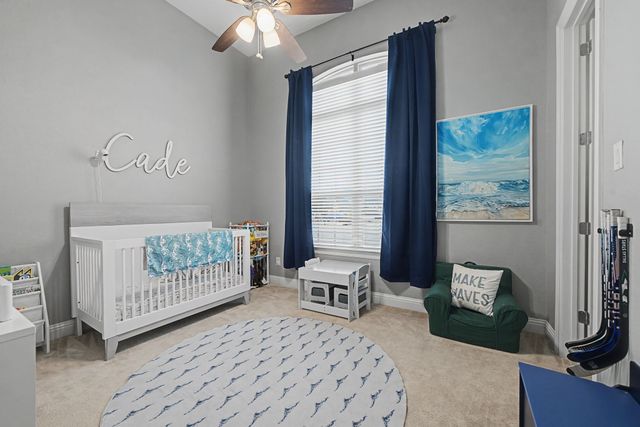 1011 Yellowcress Drive, Prosper, TX 75078