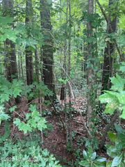 919 Mandarin Trail, Jacksonville, NC 28540