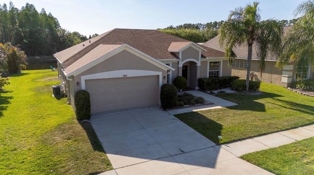 18012 SPARROWS NEST DRIVE, Lutz, FL 33558