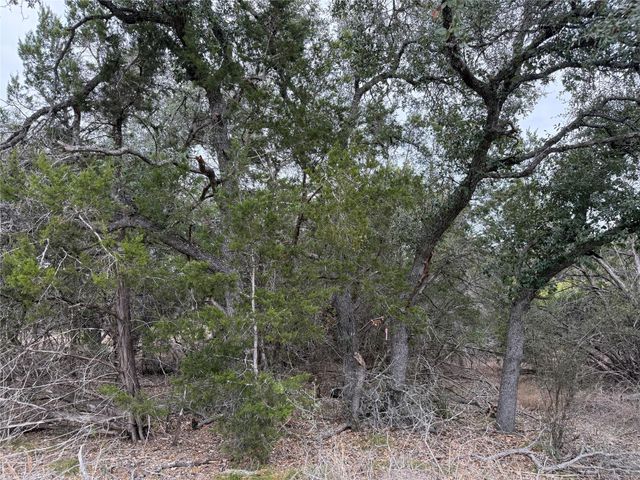 1656 Noble TRL, Canyon Lake, TX 78133