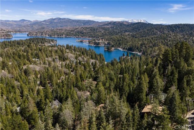 287 Grizzly Road, Lake Arrowhead, CA 92352