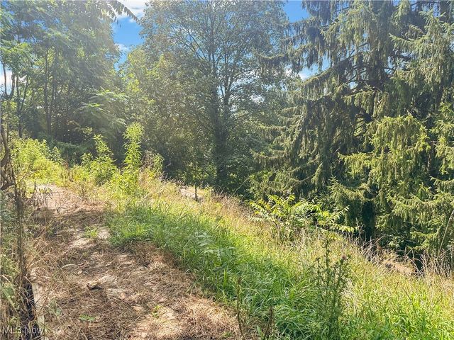 425 Straight Street, New Cumberland, WV 26047