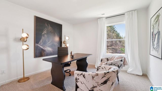 12918 HILLMAN LANE, Lake View, AL 35111