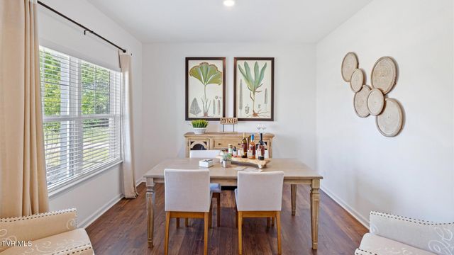 233 Artist Avenue, Johnson City, TN 37615