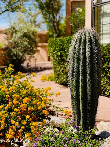 6171 Vía De La Tortola, Tucson, AZ 85718