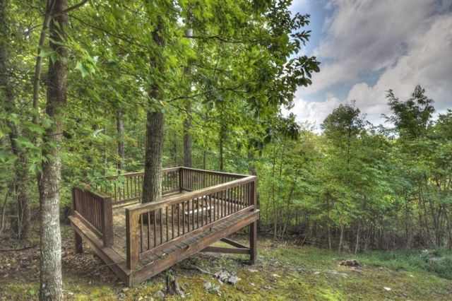 1404 Mountain High Drive, Mineral Bluff, GA 30559