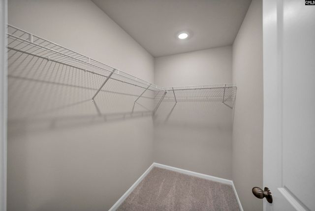 152 Winding Chestnut Drive, Columbia, SC 29053