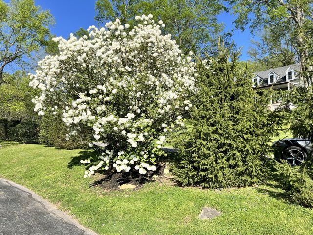 204 Hogan Ln, Columbia, TN 38401