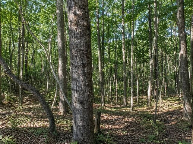 Lot 24 Waldrip Road, Dawsonville, GA 30534