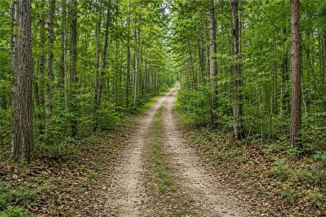 Lot 24 Waldrip Road, Dawsonville, GA 30534