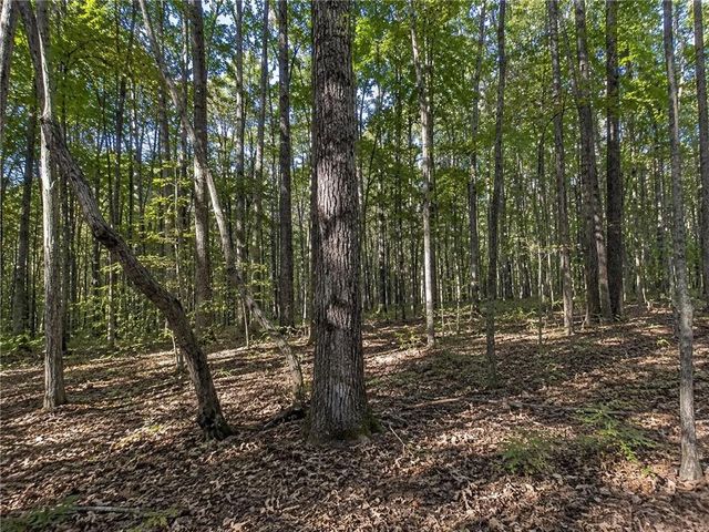 Lot 24 Waldrip Road, Dawsonville, GA 30534