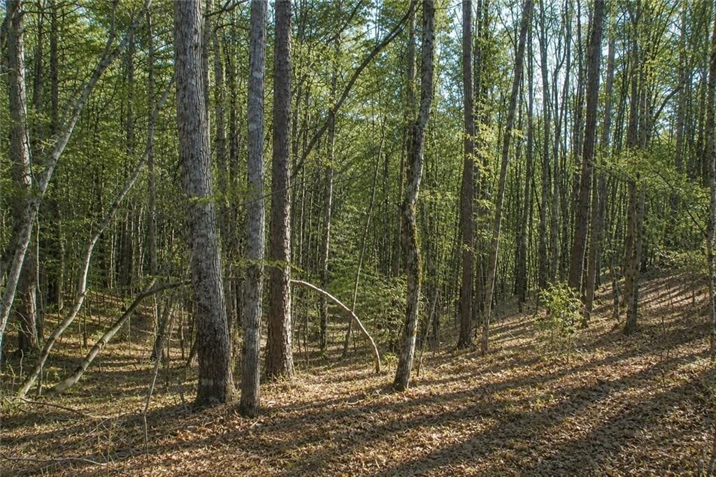 Lot 24 Waldrip Road, Dawsonville, GA 30534