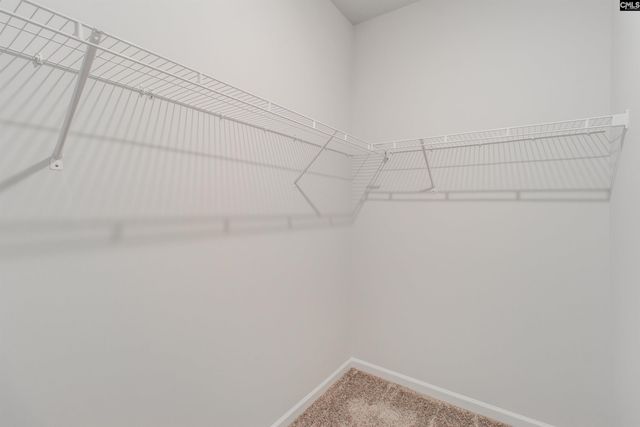 229 Horse Farm Place, Lexington, SC 29072