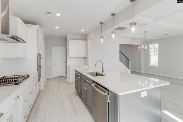 229 Horse Farm Place, Lexington, SC 29072