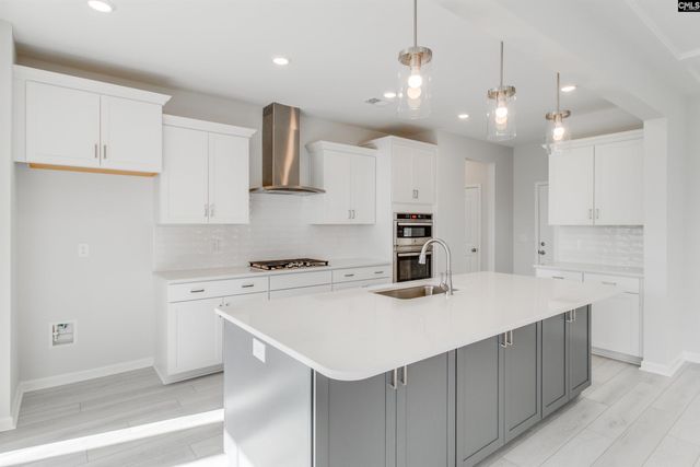 229 Horse Farm Place, Lexington, SC 29072