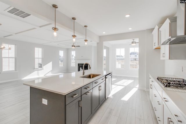 229 Horse Farm Place, Lexington, SC 29072