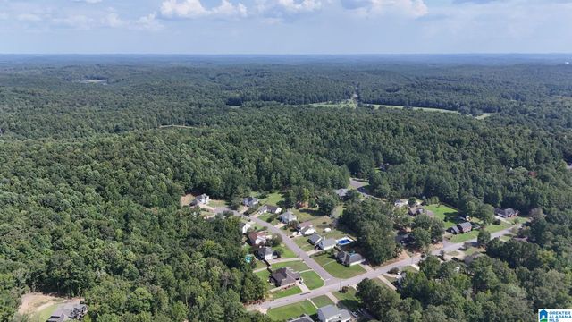 0 CLEMENTS ROAD, Cottondale, AL 35453