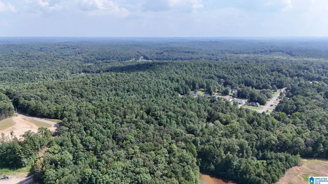 0 CLEMENTS ROAD, Cottondale, AL 35453