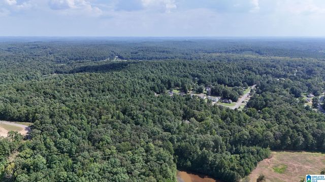 0 CLEMENTS ROAD, Cottondale, AL 35453