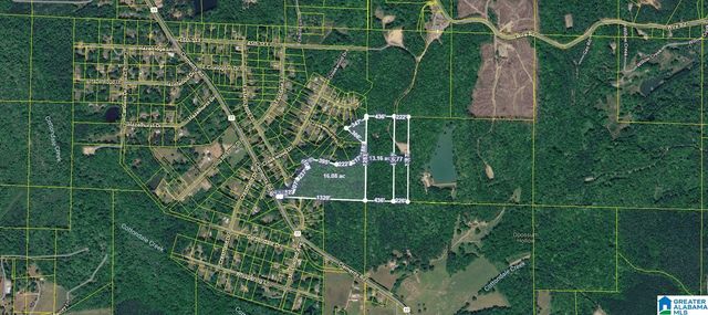 0 CLEMENTS ROAD, Cottondale, AL 35453