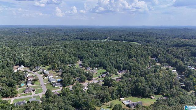 0 CLEMENTS ROAD, Cottondale, AL 35453