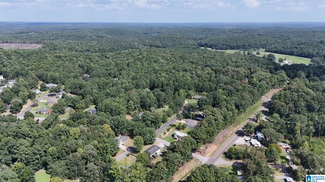 0 CLEMENTS ROAD, Cottondale, AL 35453
