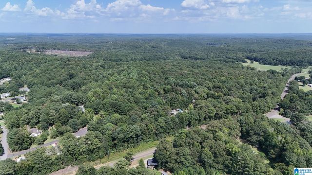 0 CLEMENTS ROAD, Cottondale, AL 35453