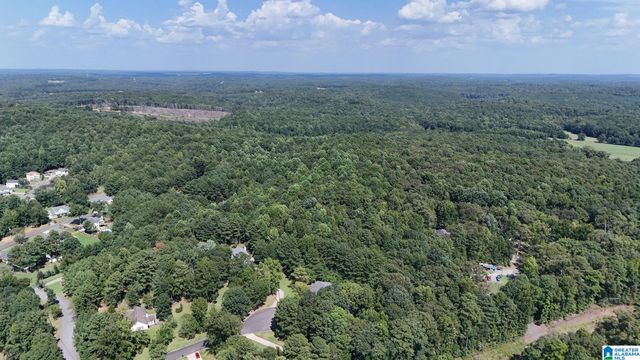 0 CLEMENTS ROAD, Cottondale, AL 35453