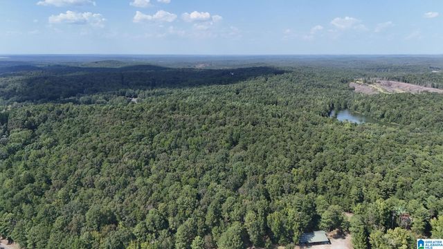 0 CLEMENTS ROAD, Cottondale, AL 35453