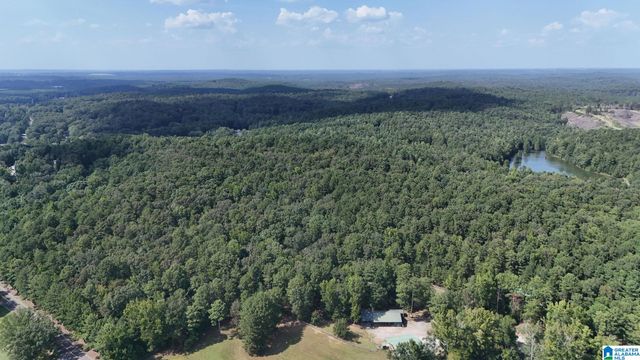 0 CLEMENTS ROAD, Cottondale, AL 35453