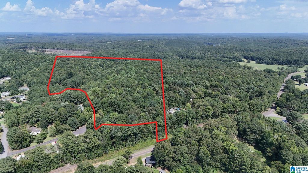 0 CLEMENTS ROAD, Cottondale, AL 35453