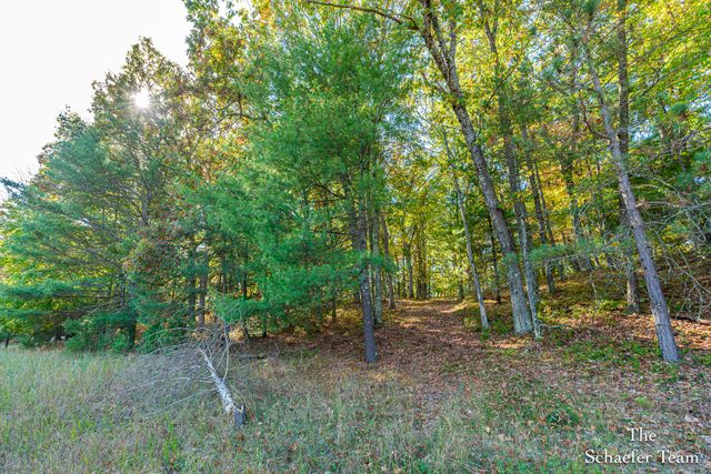 11256 S Roby Lake Drive, Baldwin, MI 49304