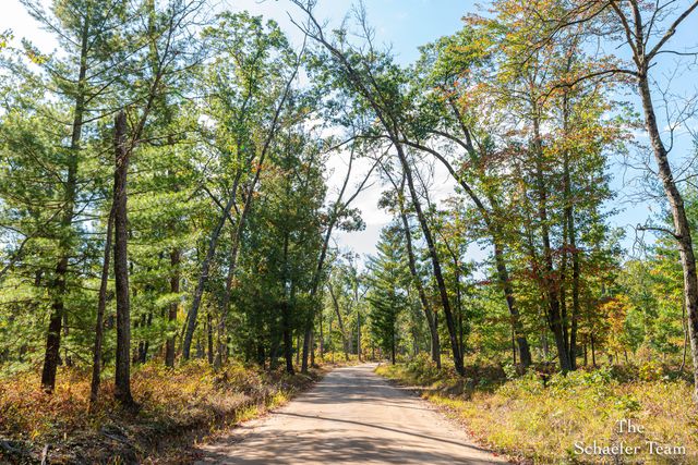 11256 S Roby Lake Drive, Baldwin, MI 49304