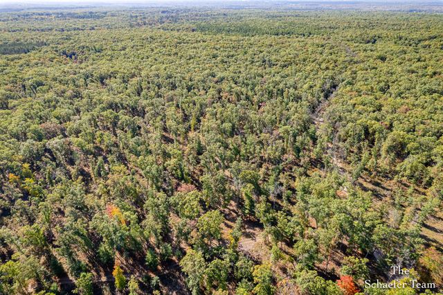 11256 S Roby Lake Drive, Baldwin, MI 49304