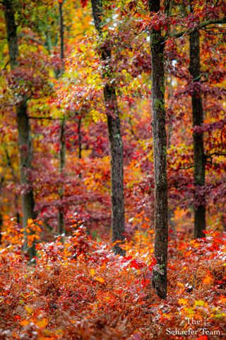 11256 S Roby Lake Drive, Baldwin, MI 49304