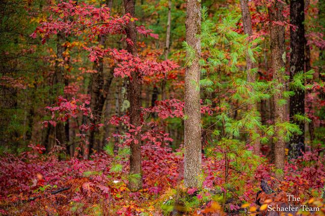 11256 S Roby Lake Drive, Baldwin, MI 49304