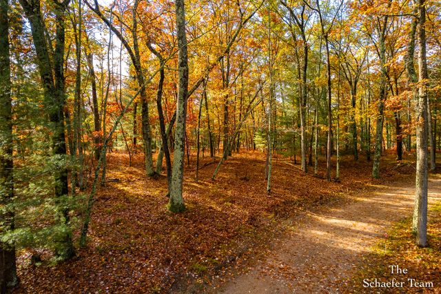 11256 S Roby Lake Drive, Baldwin, MI 49304