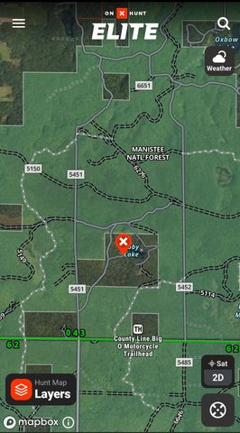 11256 S Roby Lake Drive, Baldwin, MI 49304