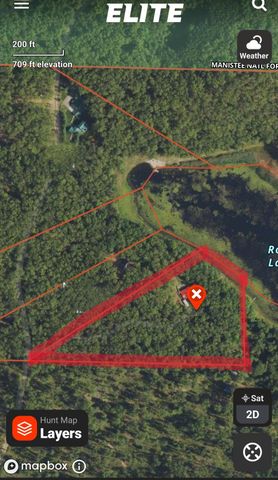 11256 S Roby Lake Drive, Baldwin, MI 49304